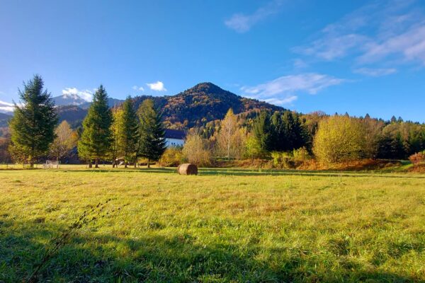 Peisaj_Centru-Rasnov